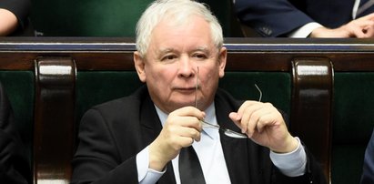 Prezes szuka kreta w PiS. Można się załamać, jeśli prawdą jest, jak to robi!