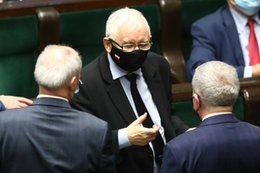 PiS ma trzy scenariusze ws. piątki dla zwierząt