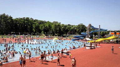 Tajemnicza śmierć w Rybniku. W zaroślach znalazł rozkładające się zwłoki