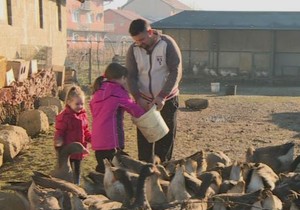 Dubravko Vojtaljuk guske uzgoj Banjaluka