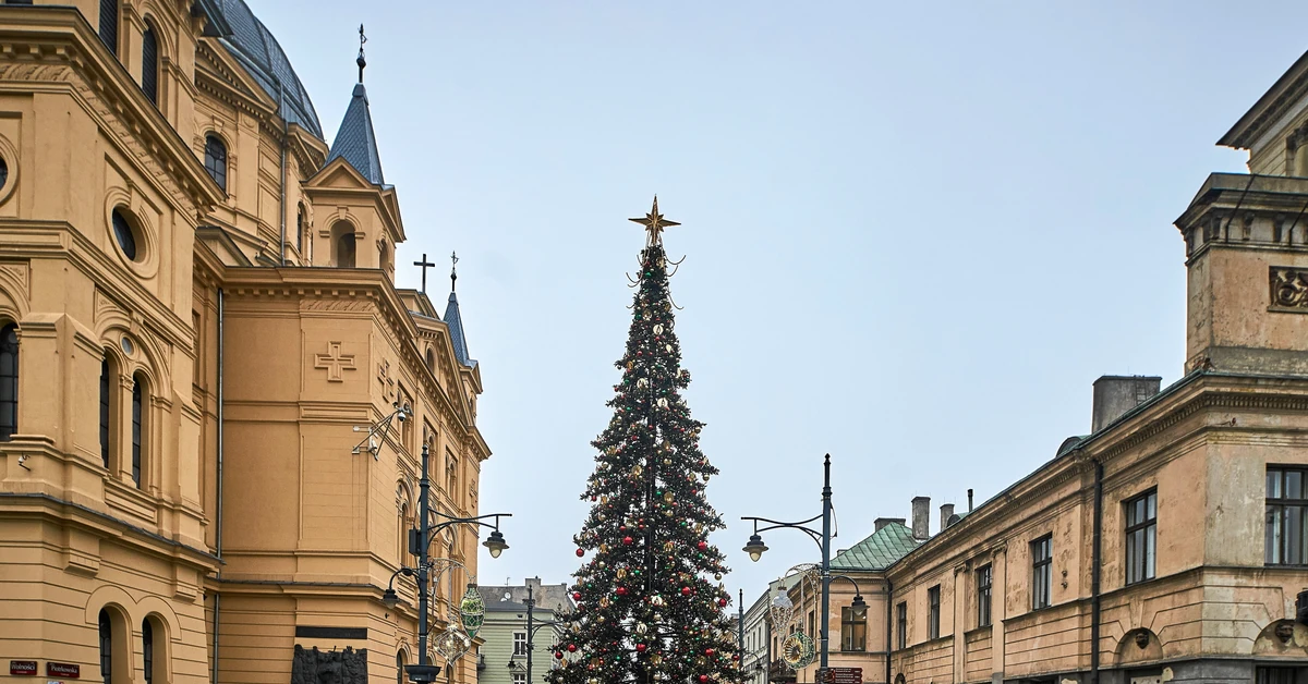 Pogoda w Boże Narodzenie 2025 zaskoczy. IMGW przewiduje anomalię