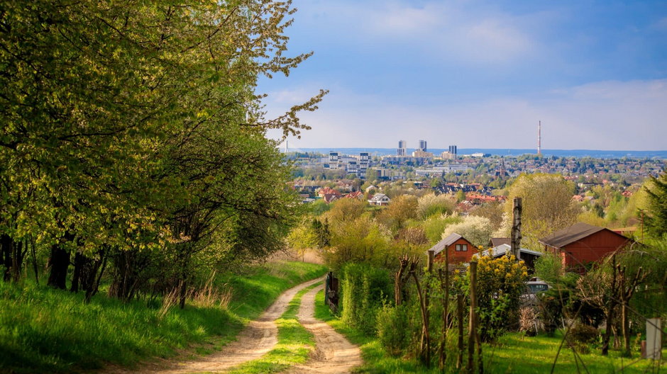 W województwie podkarpackim tysiące palenisk to wciąż nielegalne kopciuchy.