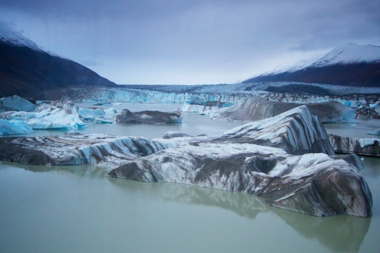 'Dzika Ameryka'. Zdjęcia z nowego serialu Discovery Channel