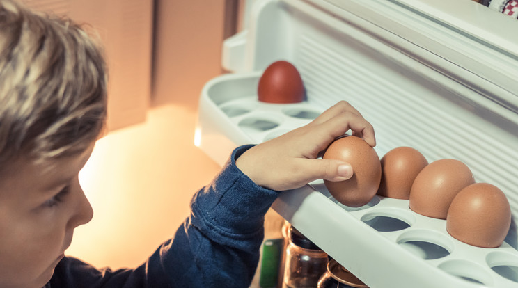 A Nébih oktató anyagaiból az is kiderül, hogyan fogyaszthatók, tárolhatók biztonságosan a különböző élelmiszerek /Fotó: Shutterstock