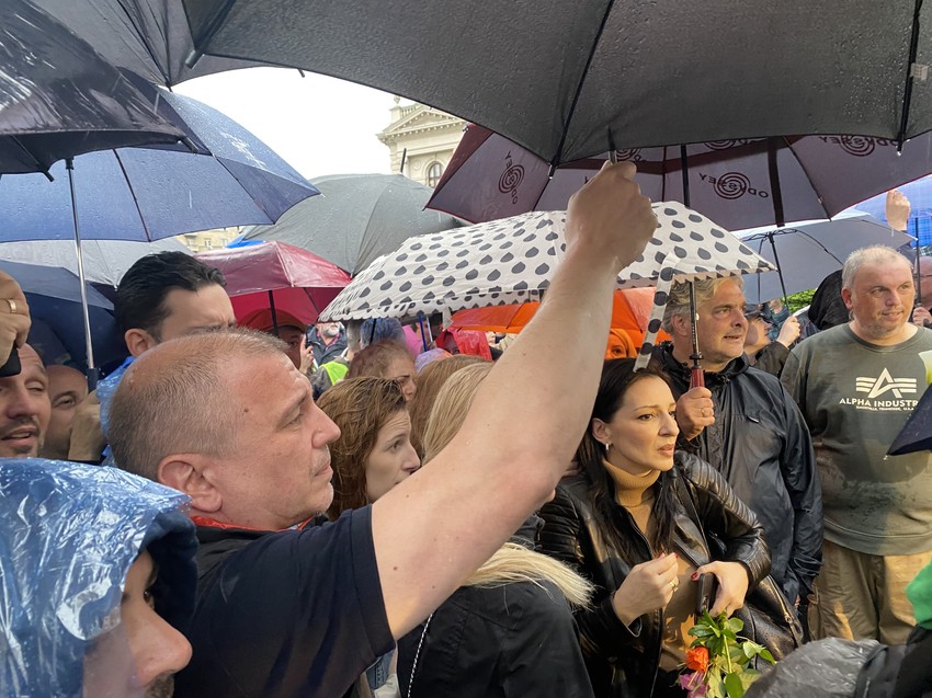 Marinika Tepić, SSP