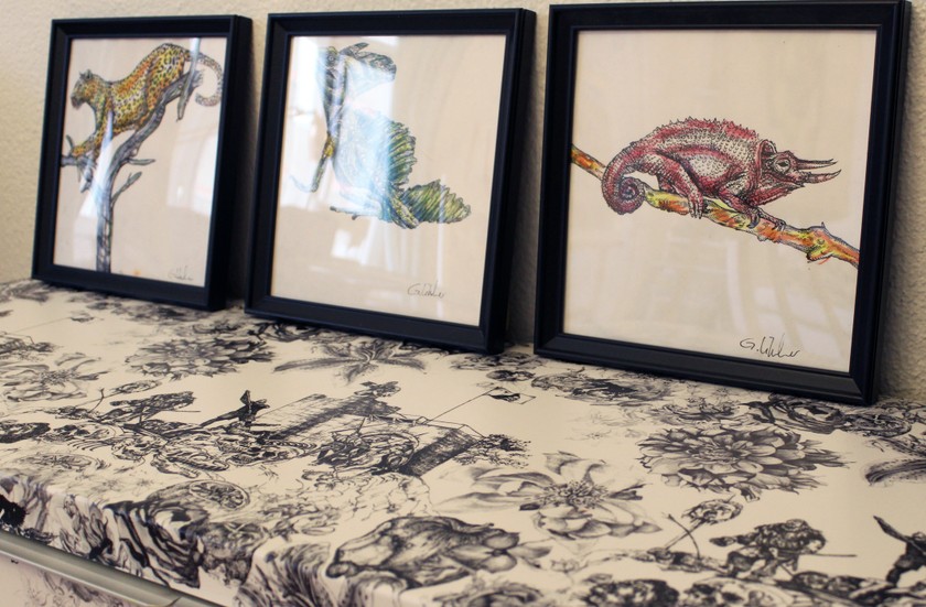 «Elles racontent toujours une histoire.»