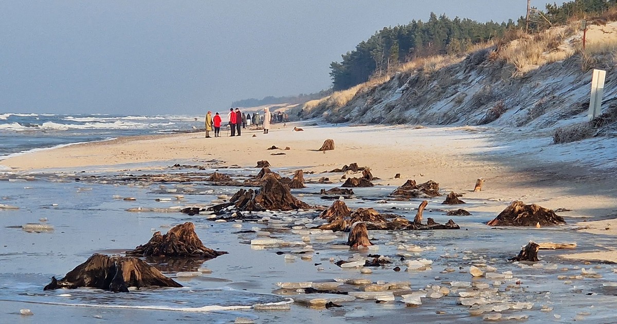 Mieszkańcy i turyści ruszyli na plażę w Łazach. Niezwykły widok w środku zimy
