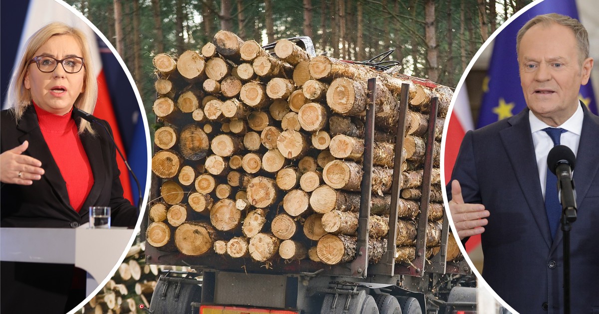 100 dni już dawno minęło, a polskie drewno wciąż wyjeżdża. Tak tłumaczy się rząd