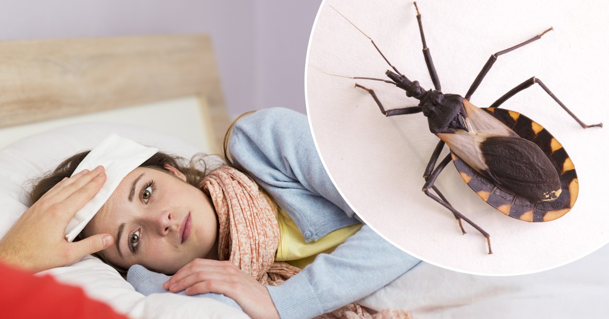 "Całujące robaki" żerują w okolicy ust. Zagrażają życiu, a objawy choroby mogą zmylić