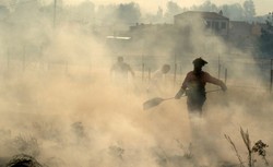 Dramatyczne skutki pożaru w Hiszpanii.  Żywioł strawił ponad 12 tys. ha lasów