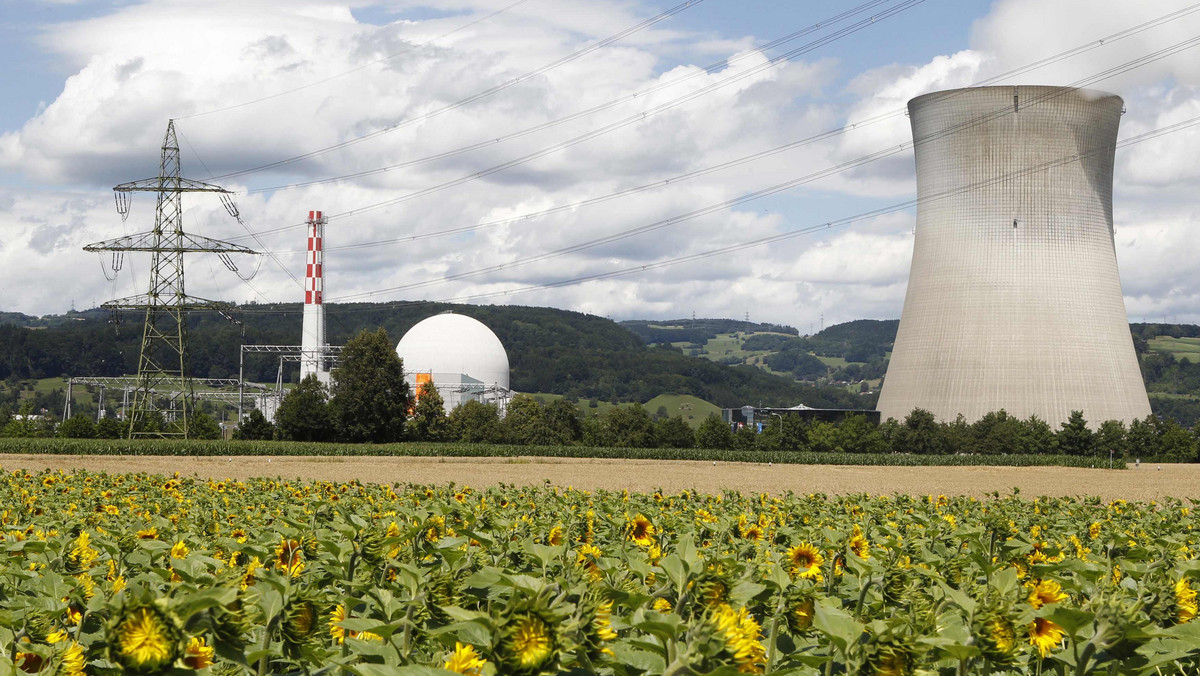 Rosyjski państwowy koncern Atomstrojexport zbuduje pierwszą na Białorusi elektrownię jądrową. Umowę w tej sprawie podpisali w środę w Mińsku szefowie rządów Rosji i Białorusi, Dmitrij Miedwiediew i Michaił Miasnikowicz.