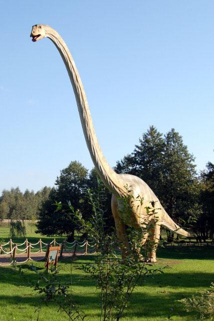 Galeria Polska - Rogowo - Park Dinozaurów, obrazek 7