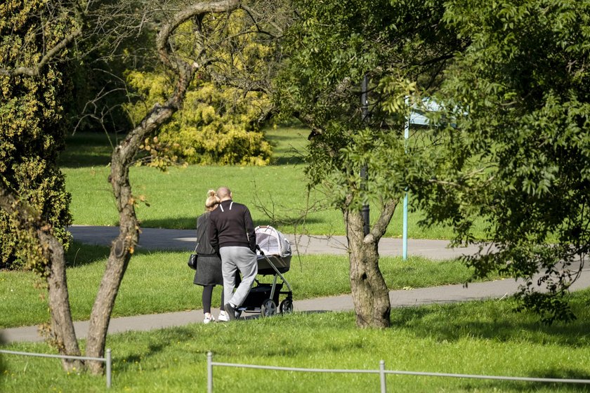 Park Śląski