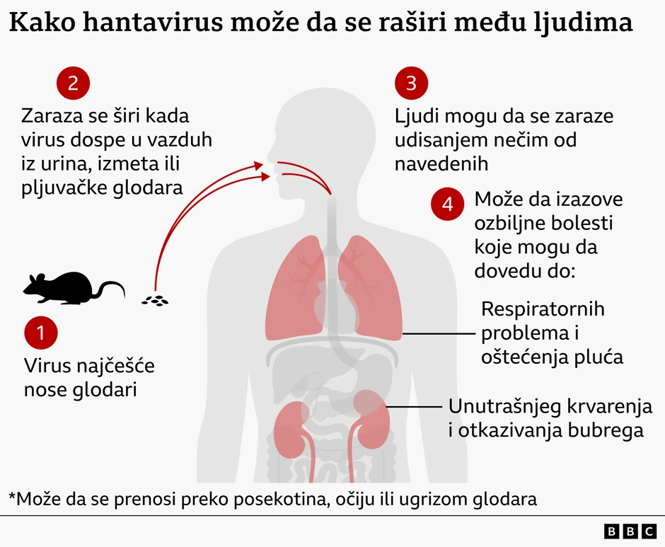 BBC | Foto: BBC