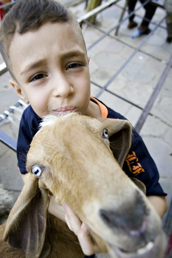 IRAQ-ECONOMY-MARKET-PETS