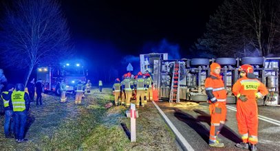 Prawdziwa rzeź na drodze. W wypadku tira zginęło 60 zwierząt!