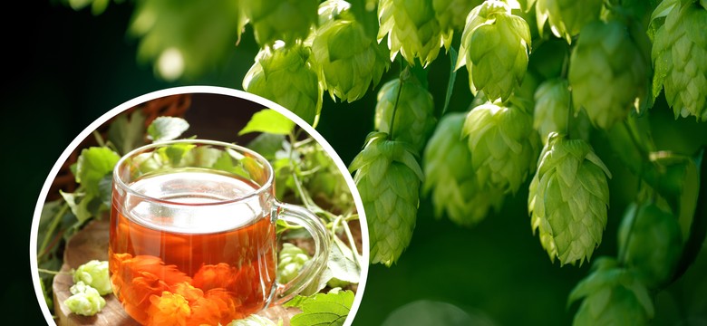 Zamiast melisy. Wypij przed snem, a zaśniesz bez problemu