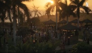 Oasis