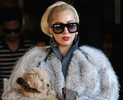 Lady GaGa nie zagra dla nich nawet za milion dolarów