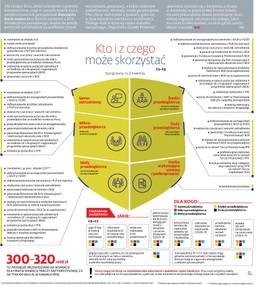 Tarcze antykryzysowe: Kto i z czego może skorzystać