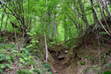 Galeria Polska - Bieszczady, obrazek 2