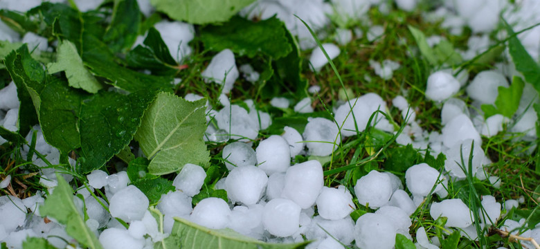 Przelotne opady deszczu, burze i grad. Prognoza pogody na niedzielę, 20 lipca