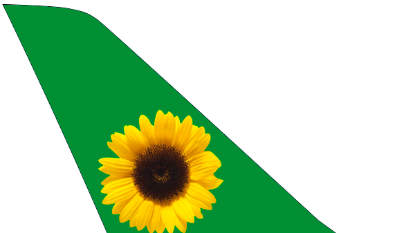 ticker sunflower hidden disability