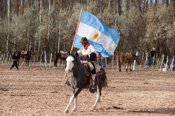 Gauczo z flagą Argentyny, fot. Eduardo Rivero / Shutterstock.com