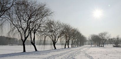 Taka będzie pogoda w drugi dzień świąt. Możemy szykować się na spacer?