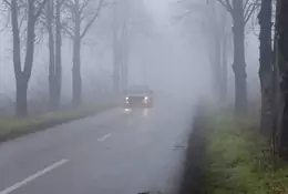 Kierowco, ostrożnie. To co widzisz dziś za oknem to mgła radiacyjna