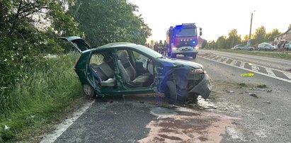 Śmiertelny wypadek w Wielkopolsce. Policjant uciekł z miejsca tragedii [ZDJĘCIA]