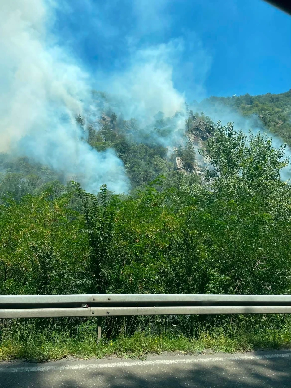 Požar u dolini Ibra