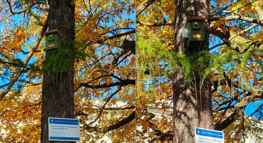 Rodzice mogą zdecydować, co jest potrzebne w szkołach ich dzieci