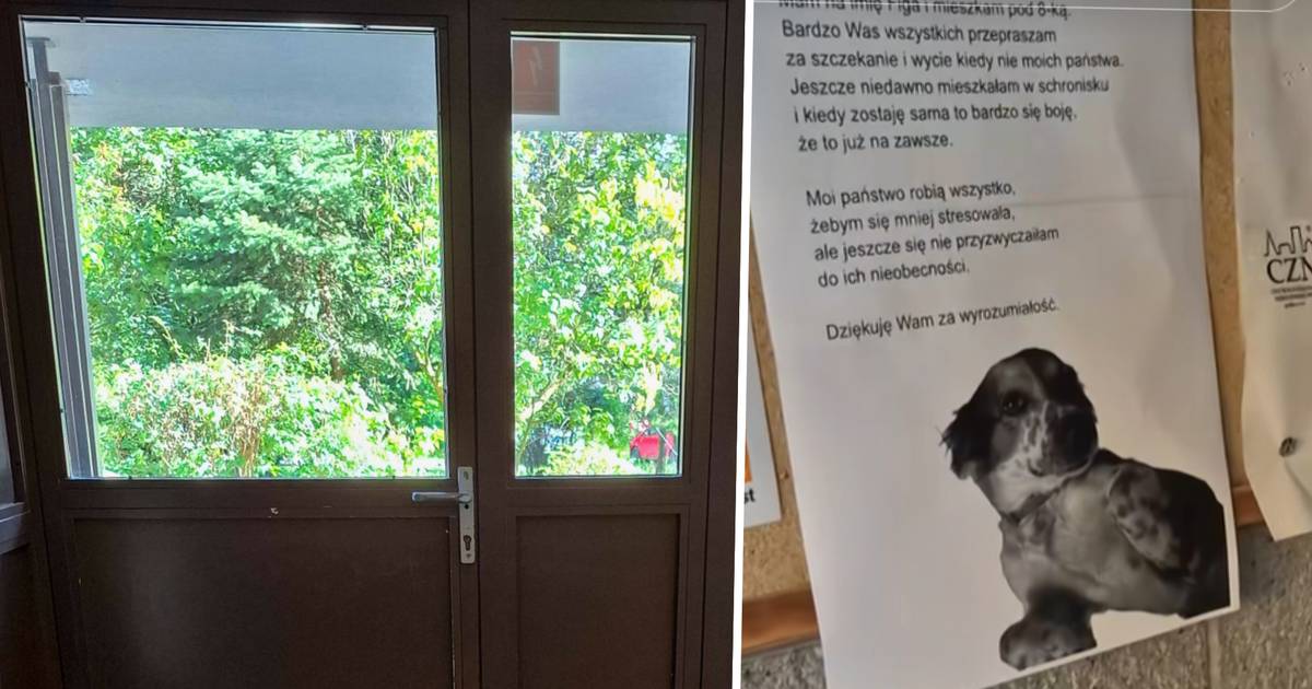 Wywiesił na klatce zaskakujący list. "Bardzo was przepraszam"