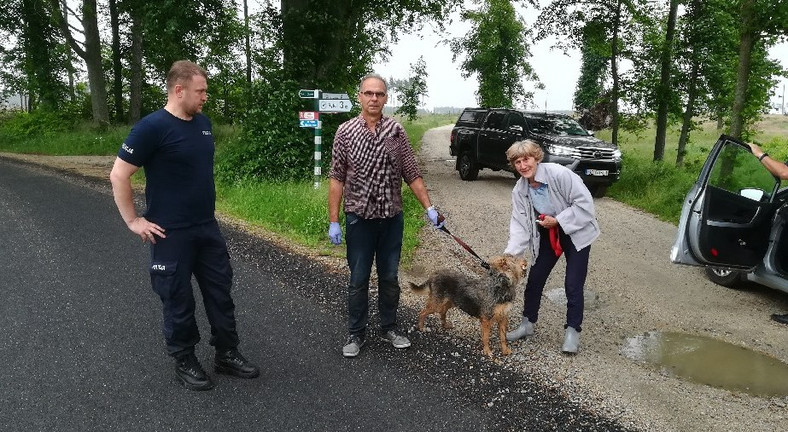 Pies Filip, który uratował swojego pana