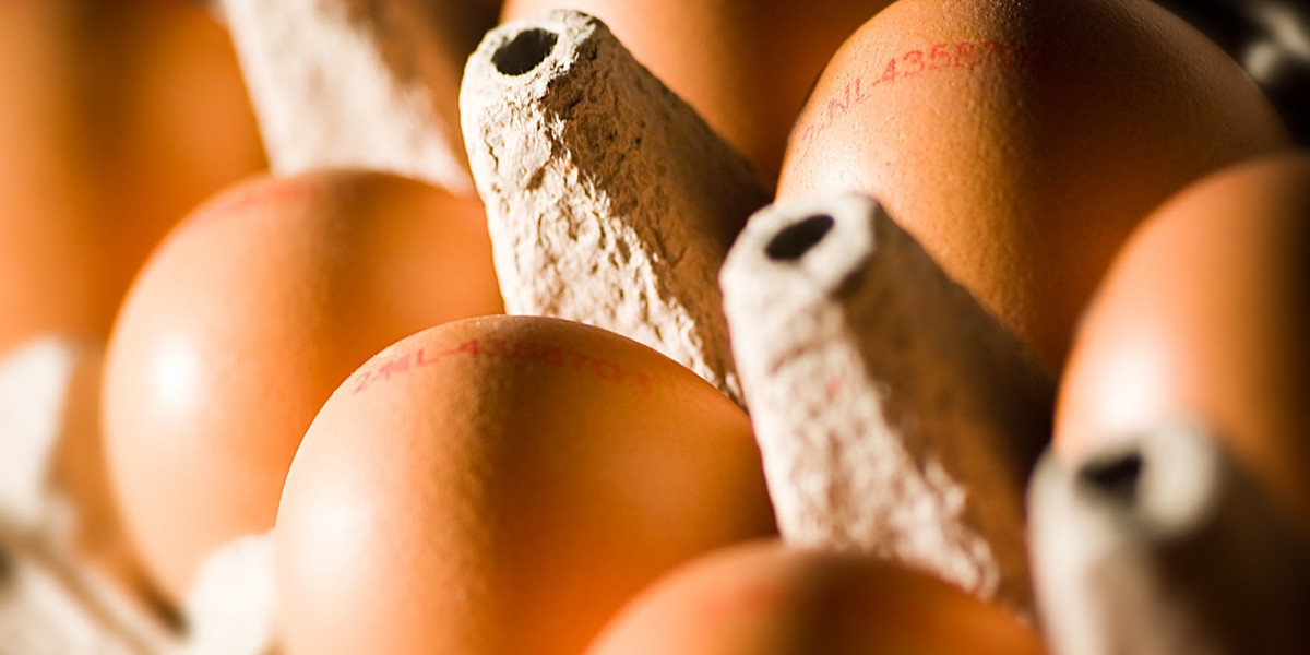 Polska jest jednym z największych producentów jaj w Europie