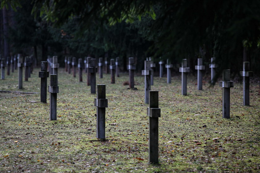 Ludzkie szczątki na parkingu w lesie w Treblince