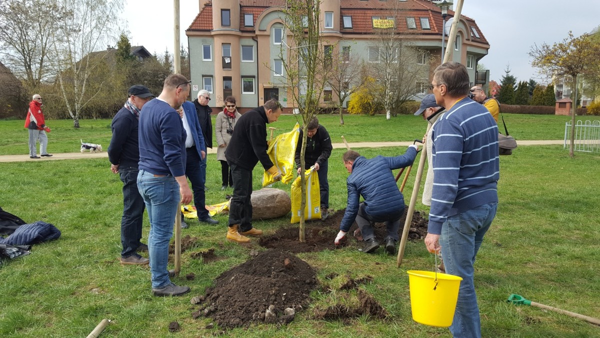 Jak namówić dziecko do odstawienia smoczka? Powiesić je na drzewie! Na taki nietypowy pomysł wpadła Rada osiedla Gumieńce i Rotary Klub Szczecin. Drzewo zostało już zasadzone, a pierwsze smoczki mają pojawić się na nim jutro.