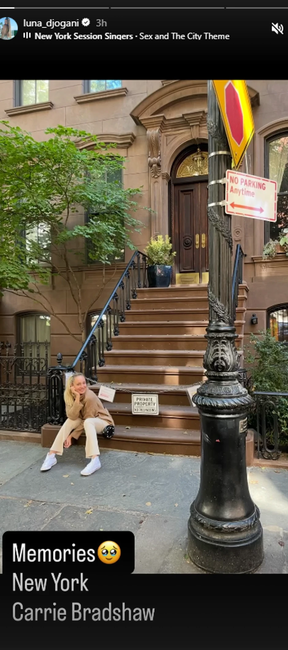 Luna Đogani, objava