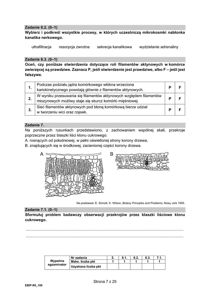 Rozszerzona matura z biologii 2021 - arkusz egzaminacyjny