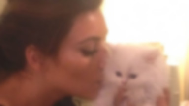 Kim Kardashian rozpacza po śmierci kotki