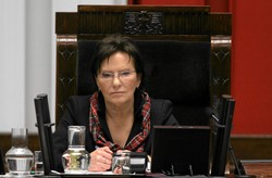 Komitet ds. promocji wersalek? Kopacz odrzuca wniosek o rejestrację