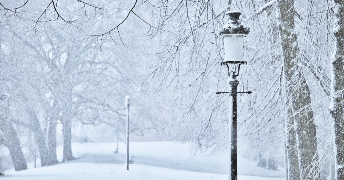 Ferie zimowe 2026 wystartowały. O tych obowiązkach muszą pamiętać organizatorzy wypoczynku dla dzieci