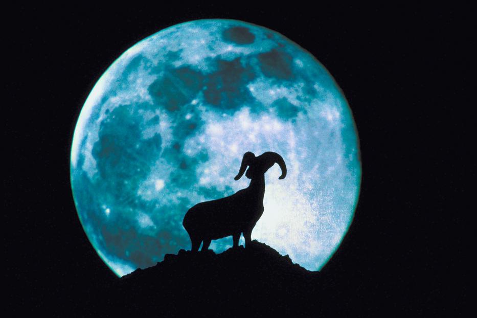 Horoszkóp: Végre kiderült, hogy hat a csillagjegyekre a Hold Fotó: Northfoto