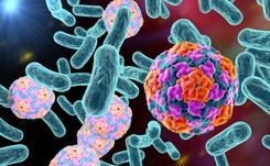 Kiedy wirusy i bakterie atakują najskuteczniej? Naukowcy sprawdzili