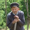 Deda Miloš Veljović