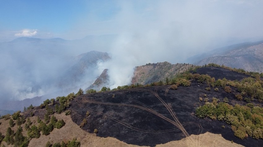 Vatrena stihija u kanjonu Uvca ne jenjava