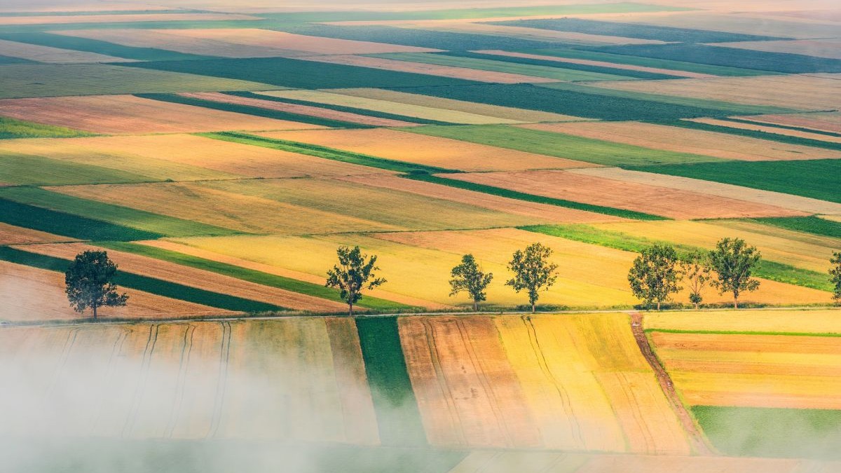 Județul din România unde un hectar de teren agricol costă cât o garsonieră. Unde sunt cele mai ieftine loturi și unde prețurile sar de 12.000 de euro
