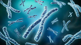 Allele - działanie, funkcje, mutacje. Czym są allele?