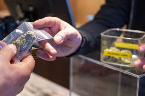 Marihuana tylko dla mieszkańców. Amsterdam nie chce już narkoturystów